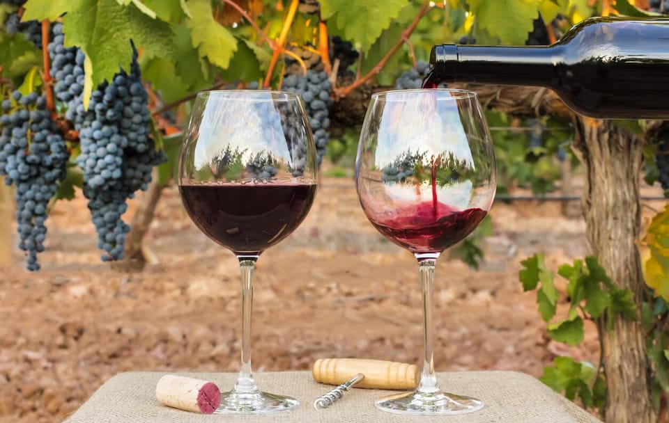 Private Surf and Wine Tour Near Santiago, Chile
