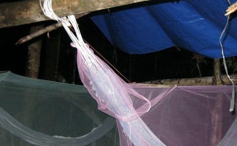 Amazon Jungle Adventure: 3-Day Tour from Manaus