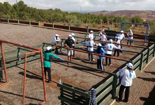 Team Building: Foosball, Archery & Accro-Park
