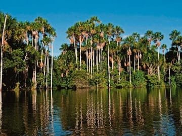 Pmal-01 : Sandoval’s Secrets- 2 Days in the Tambopata Jungle