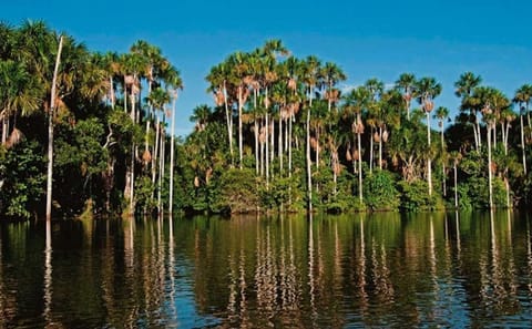 Three-Day Jungle Adventure Tour in Puerto Maldonado