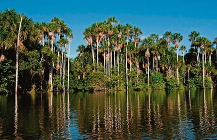 Three-Day Jungle Adventure Tour in Puerto Maldonado