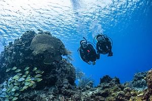2 days PADI Open Water Diver Course 