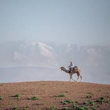 ½ Day : Ali BaBa's Camel Ride in Agafay Desert | Private & Luxury 10