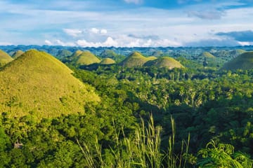 Bohol Countryside Day Tour from Cebu with Ferry Transfers