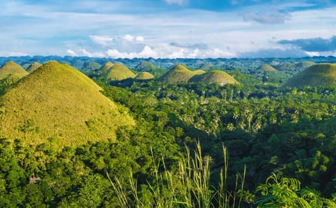 Bohol Countryside Day Tour from Cebu with Ferry Transfers