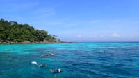 Surin Islands - The Snorkelling Experience from Phuket 9