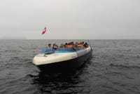 Palomino Islands Sea Lion Swimming Tour 3