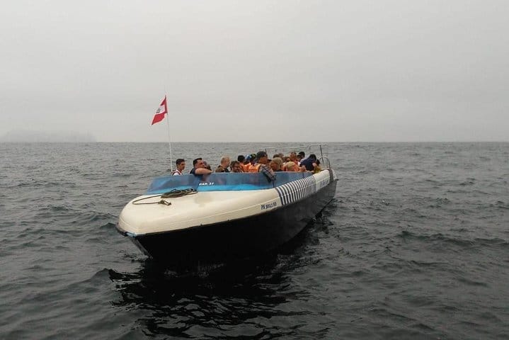 Palomino Islands Sea Lion Swimming Tour 3