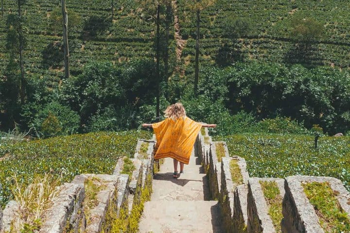 Kandy & Nuwara Eliya | 2 Days Tour