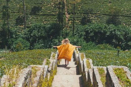 Kandy & Nuwara Eliya | 2 Days Tour