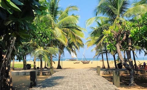 The Pick of Sri Lanka 9 Days Budget Tour