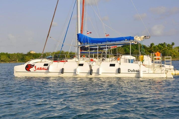 5 tours in 1 (Eco Farm/Horseback/City Tour/Buggy/Zipline)