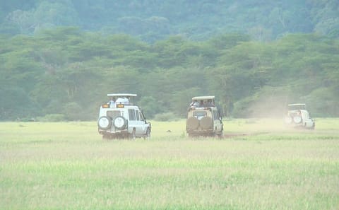 ATV Safari Tour in Lake Manyara National Park from Arusha