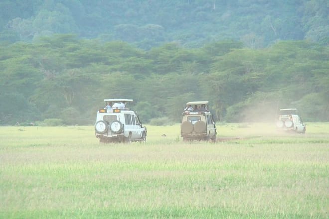 1-Day Lake Manyara Tour from Arusha photo 3
