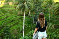 Full Day Tour - Best of Ubud with Visit Kintamani Volcano 3