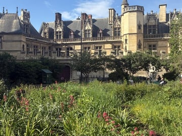 Latin Quarter & Notre-Dame: 2,000 Years of History in small group