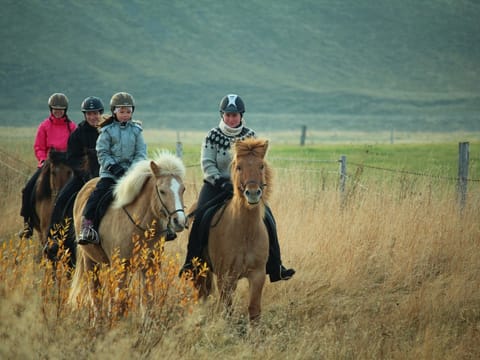 The Viking-Ride- All in One, photo 3