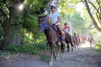 Side Horse Safari in Forest and Beach with Transfer