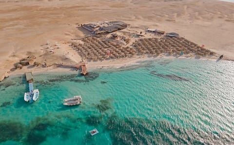 Full-Day Snorkeling and Lunch Trip to Hula Hula Island, Hurghada