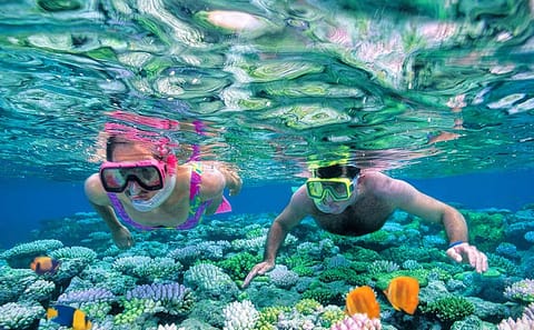 Snorkeling and Sailing Adventure to Orange Bay, Giftun Island