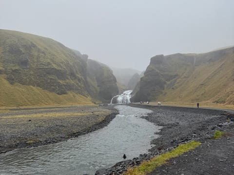 Jokulsarlon Glacier Lagoon Small Group Day Tour From Reykjavik, photo 3