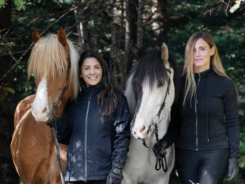 2 Hour Private Horsebackriding - Incredible opportunity to explore the enchanting landscapes while riding on a well-trained Icelandic horses, photo 5
