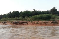 Tonle Sap Lake