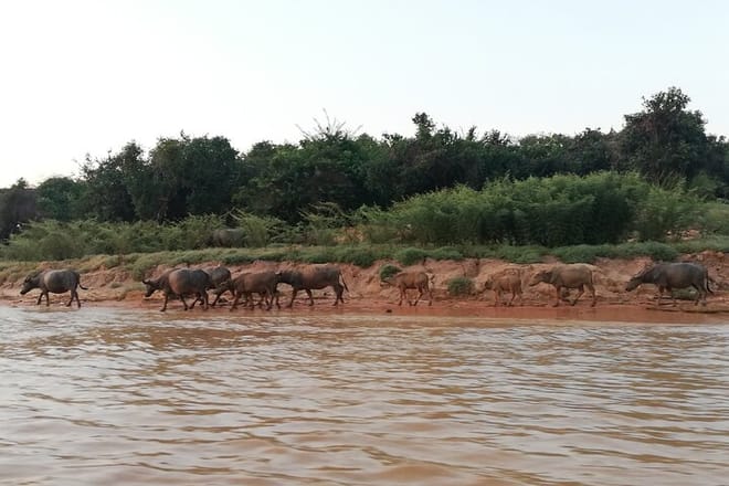Tonle Sap Lake