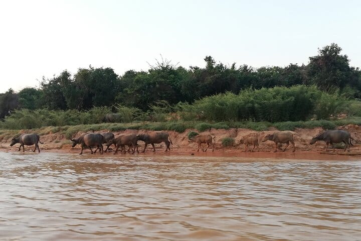 Tonle Sap Lake