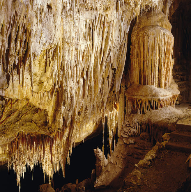 Mallorca Day Trip to Majorica Pearl Shop and Caves of Drach photo 3