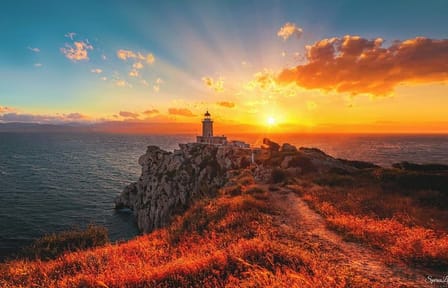 Swim with the Gods Private Tour from Athens