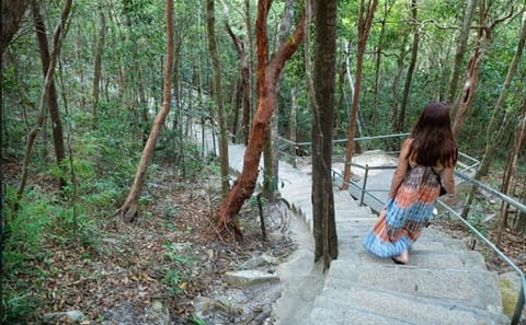 Langkawi Island City Pass With Multiple Attractions and Transport