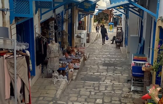 Exclusive 7-Day Tunisia Highlights Guided Tour from Tunis