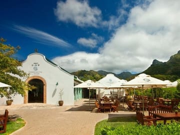 Constantia Wine Tasting and Table Mountain Day Tour in Cape Town