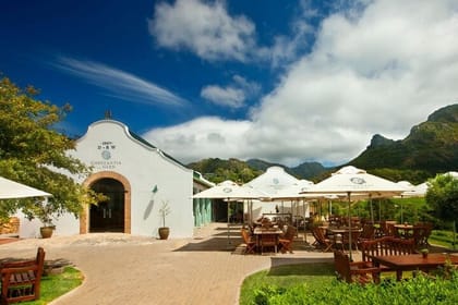 Full Day Constantia Wine Tasting and Table Mountain