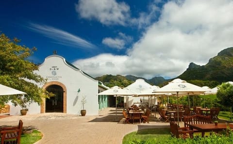 Constantia Wine Tasting and Table Mountain Day Tour in Cape Town