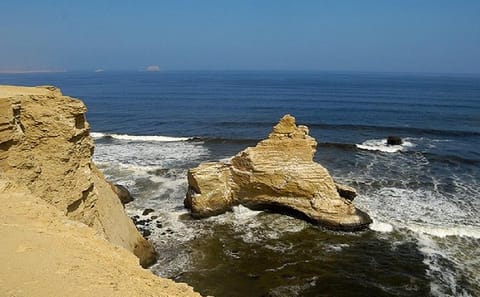 Half-Day Tour of Paracas National Reserve in Peru
