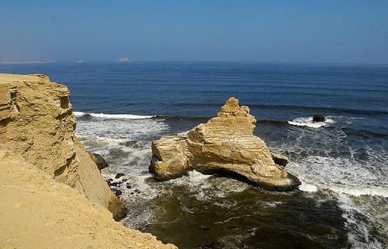 Paracas National Reserve Half Day Tour