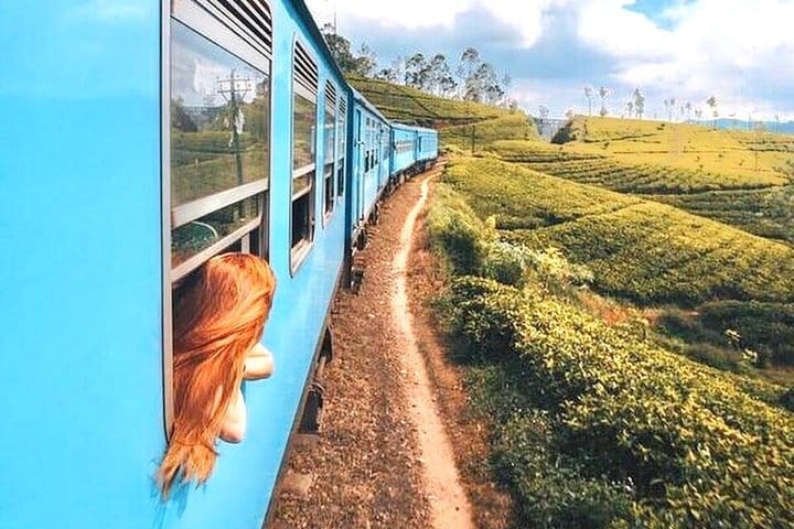 8 Days Classic Tour Sri Lanka