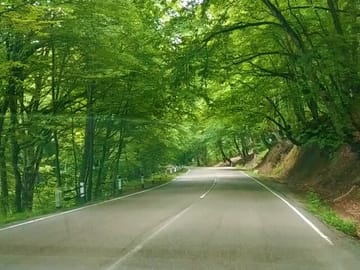 Epic Georgia Journey: 12 Days of Exploration & Charm