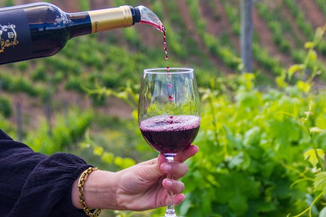 Private Algarve Wine Tour : 2 Wineries, Tastings & Tapas  4