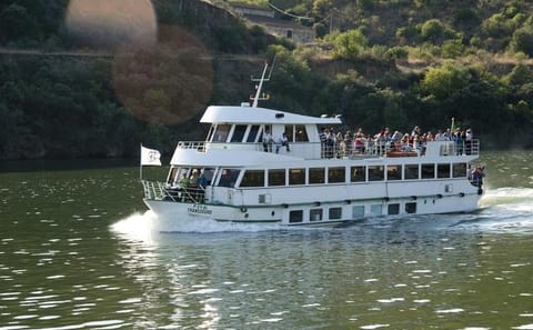 Boat Trip from Porto to Régua in the Douro Valley with Meals