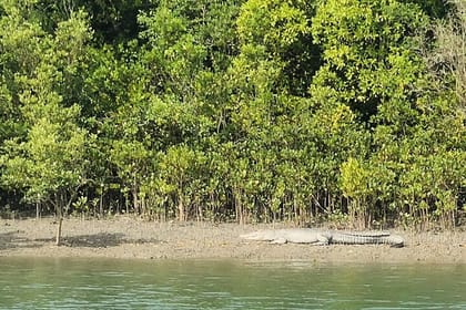 Sunderban Mangrove Wilderness Expedition