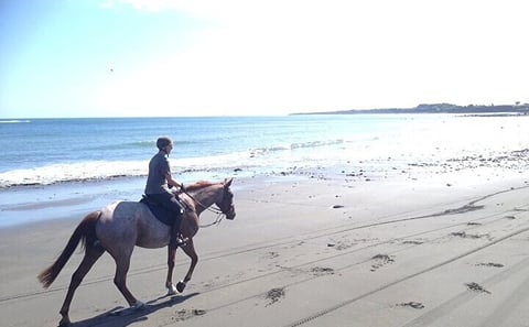 3 Hour Horse Swimming Adventure in Hurghada