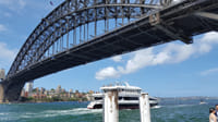 Sydney Private Full-Day Tour: Opera House, Bondi Beach & Gems 5