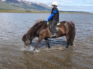 Horse Riding Tour and Explore Scenery in Gásir Akureyri, photo 12