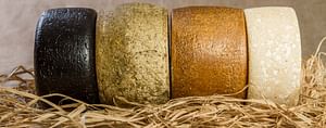 Visit a cheese company with cheese-making workshop in Dolianova
