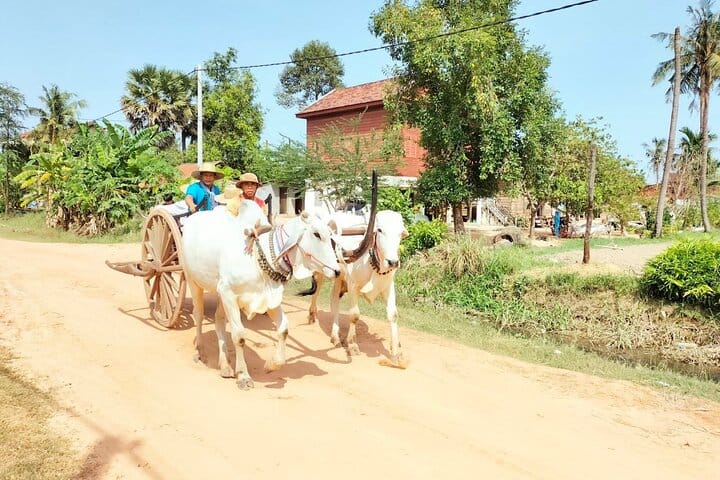 Half-day Tour to Khmer Village Plus Meal