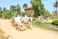 Village tour